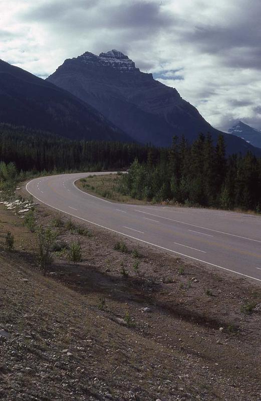 C Rockies 005 Sep-1981.jpg